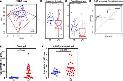 Pyruvate: Ferredoxin oxidoreductase is involved in IgA-related microbiota dysbiosis and intestinal inflammation